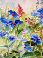 Blaue Blumen auf der Wiese